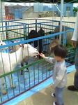 umi_zoo umi_zoo