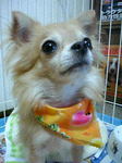 kairi_2006.07.31_03.jpg