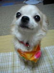 kairi_2006.07.31_05.jpg