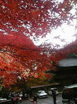 kairi_2006.11.21_01.jpg